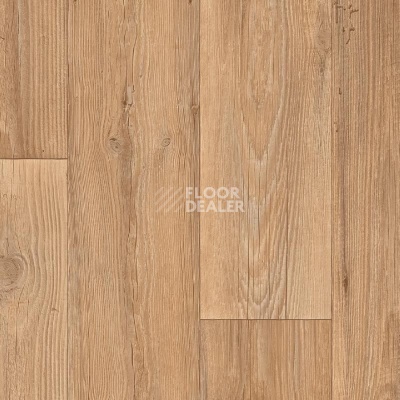 Линолеум IVC Texmark RAVENNA PINE 742 фото 1 | FLOORDEALER